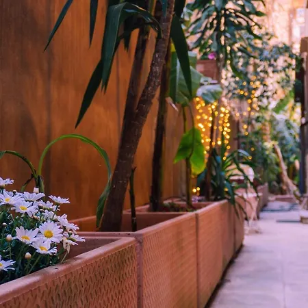 Appartement Casa Madi Palermo