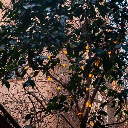 Casa Madi Διαμέρισμα Παλέρμο