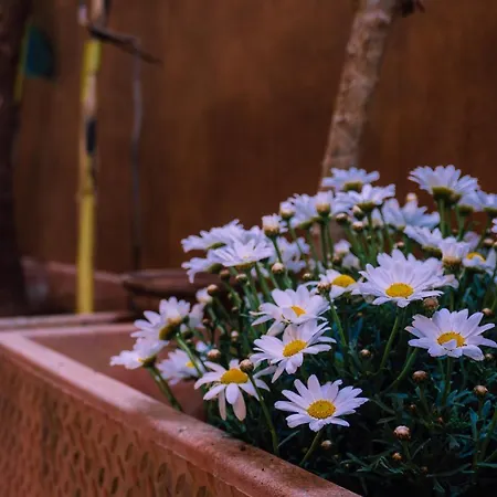 Casa Madi Διαμέρισμα Παλέρμο